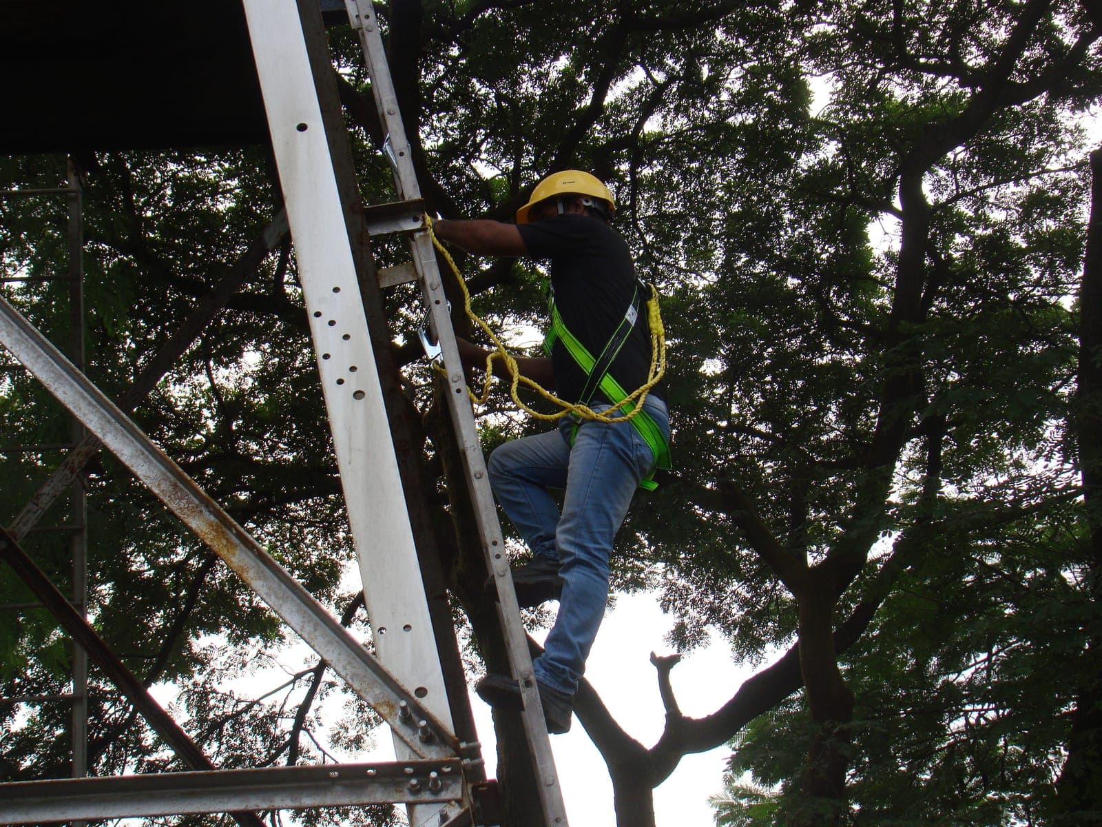 Trainee in a hard hat and full-body harness climbing a lattice tower, connected with a twin lanyard