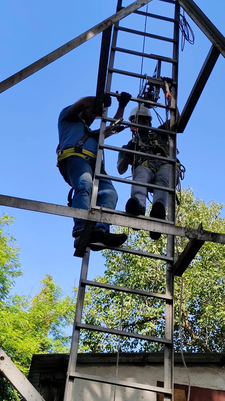 Two participants climbing a fixed vertical ladder in harnesses during a supervised exercise